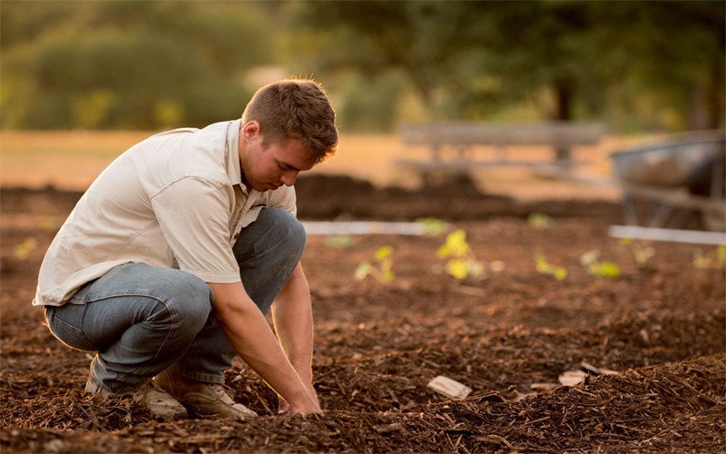 Agricultura Consciente