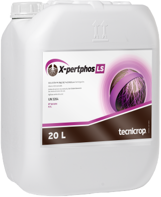 X-Pertphos LS